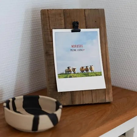 Sylter Seestern App Unewatt